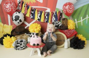 Cake smash portrait pricing, farm themed toddler session, piggy cake, smash cake, first birthday 