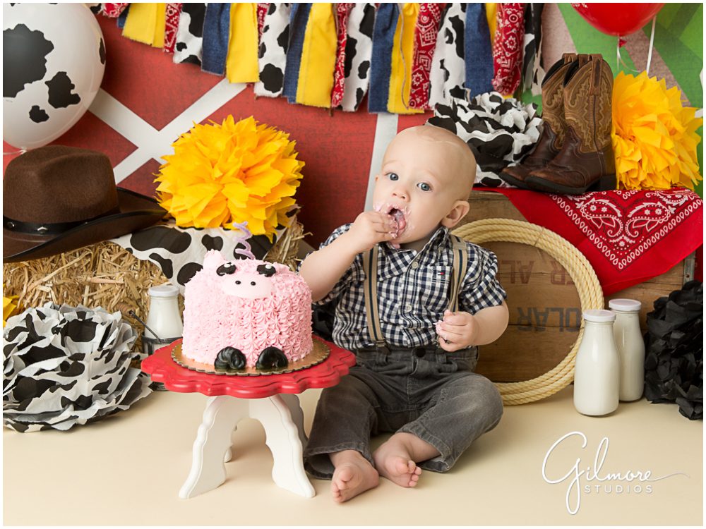 Cake smash birthday portrait photographer, farm animals, 1 year old