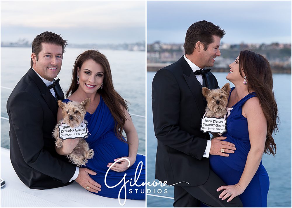 formal maternity photo with yorkie dog, pet, tuxedo, bow tie