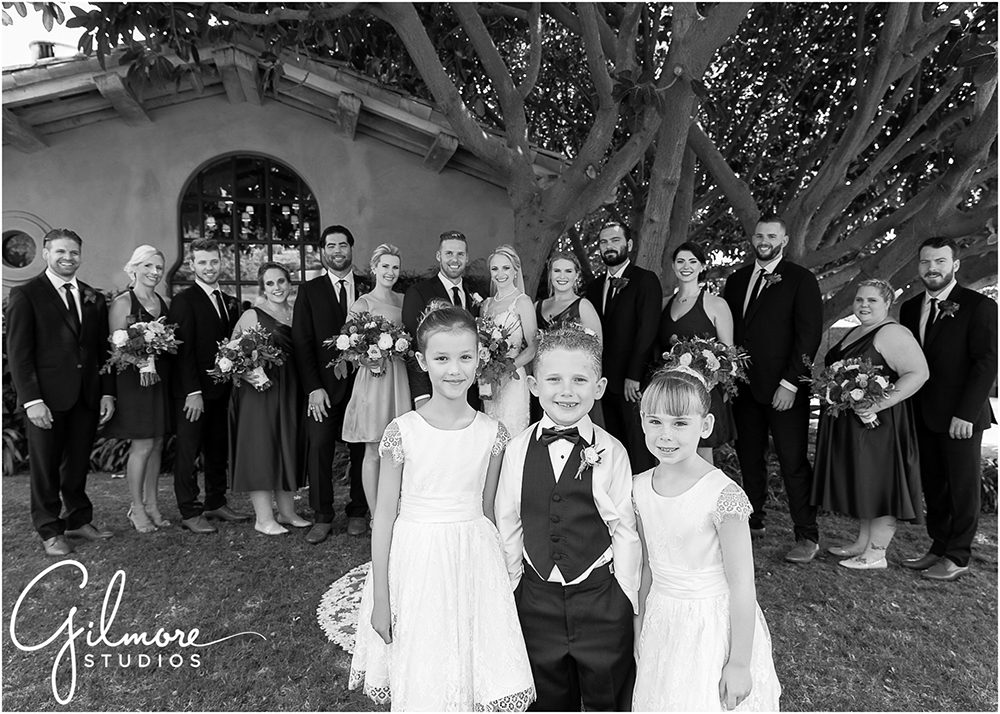 wedding party, bridal photos with the bridesmaids and groomsmen