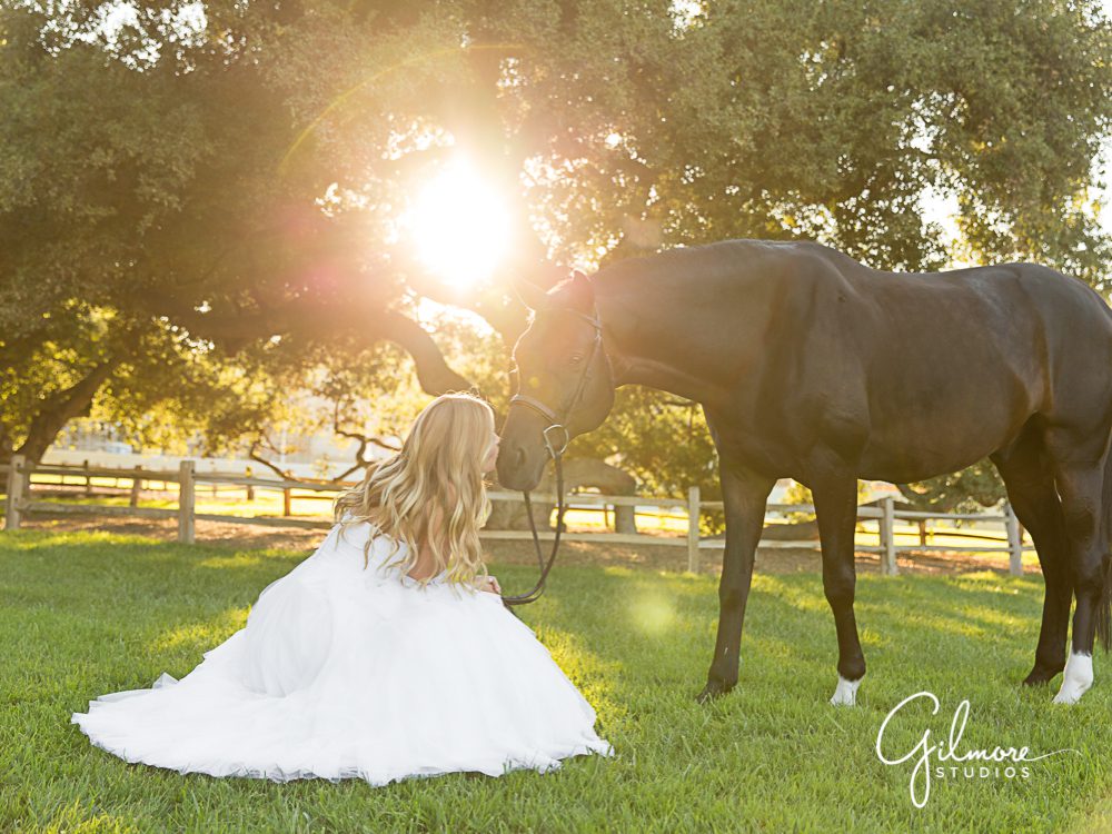 Spending time with your best friend- horses and debutantes