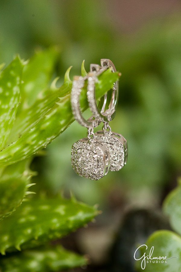 Creative jewelry photo with diamond earrings hanging on green cactus