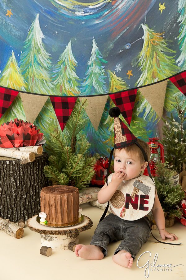 Lumberjack cake smash portrait photographer
