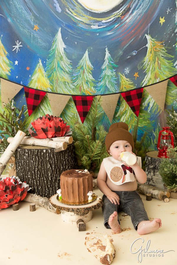 1st birthday lumberjack cake photo