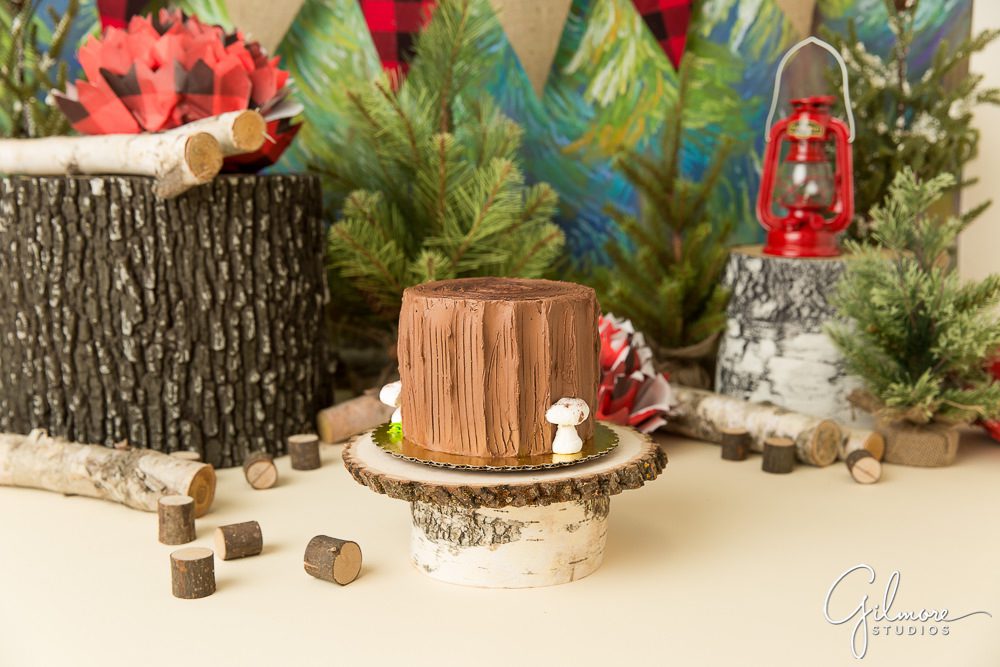 Lumberjack tree log cake design