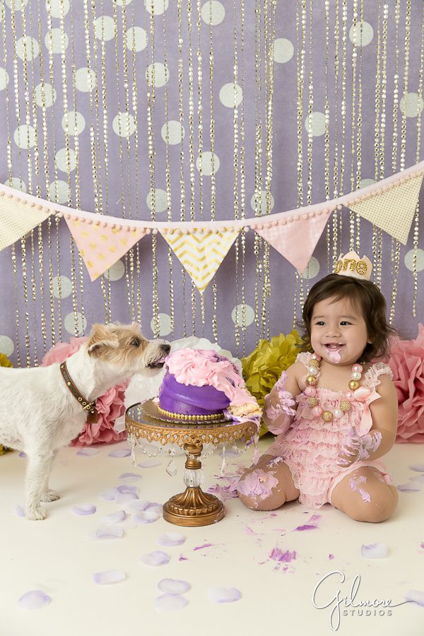 Cake smash celebrating your birthday with a favorite pet