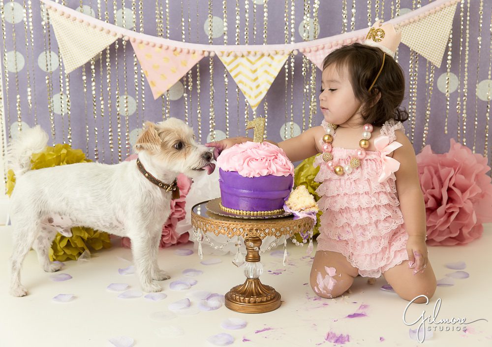 Dog helping this one year old celebrate her 1st birthday.