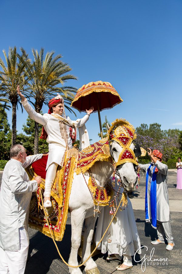 caucasian indian groom riding on a traditional wedding horse