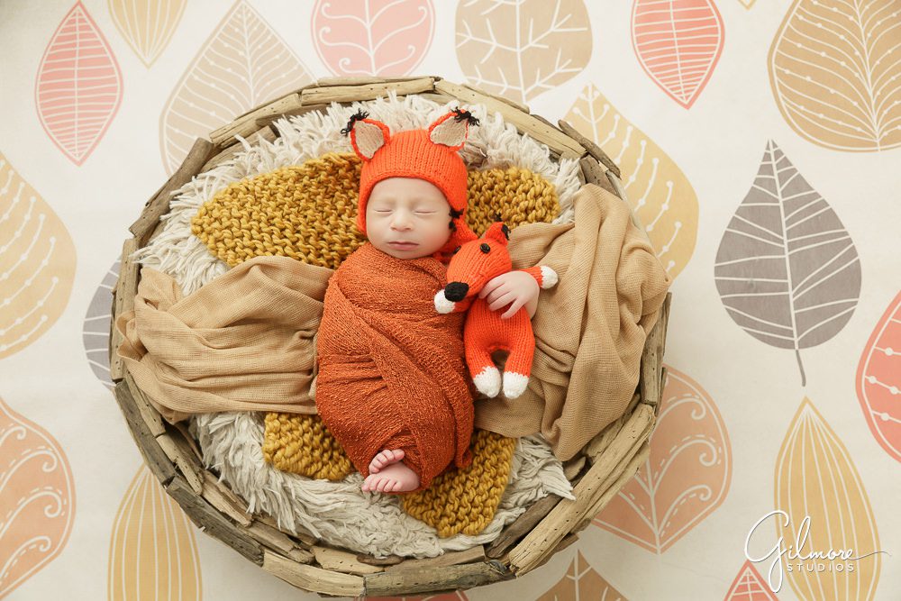 beach wood bowl prop with the newborn fox theme, OC newborn photographer