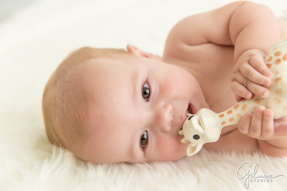baby boy playing Sophie the Giraffe Teether