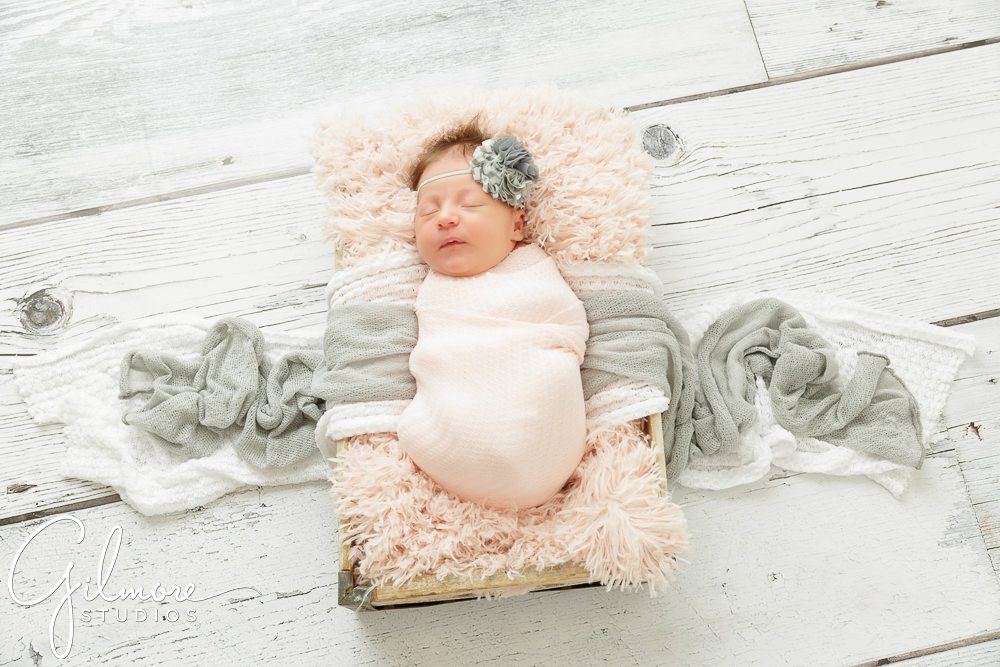 Newborn Family Portrait Photography, baby girl