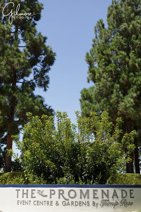 1570 Scenic Ave, Costa Mesa, CA 92626, Turnip Rose Promenade Wedding Photography
