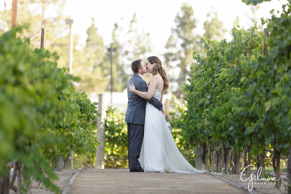 walking through the vineyard, Turnip Rose Promenade Wedding