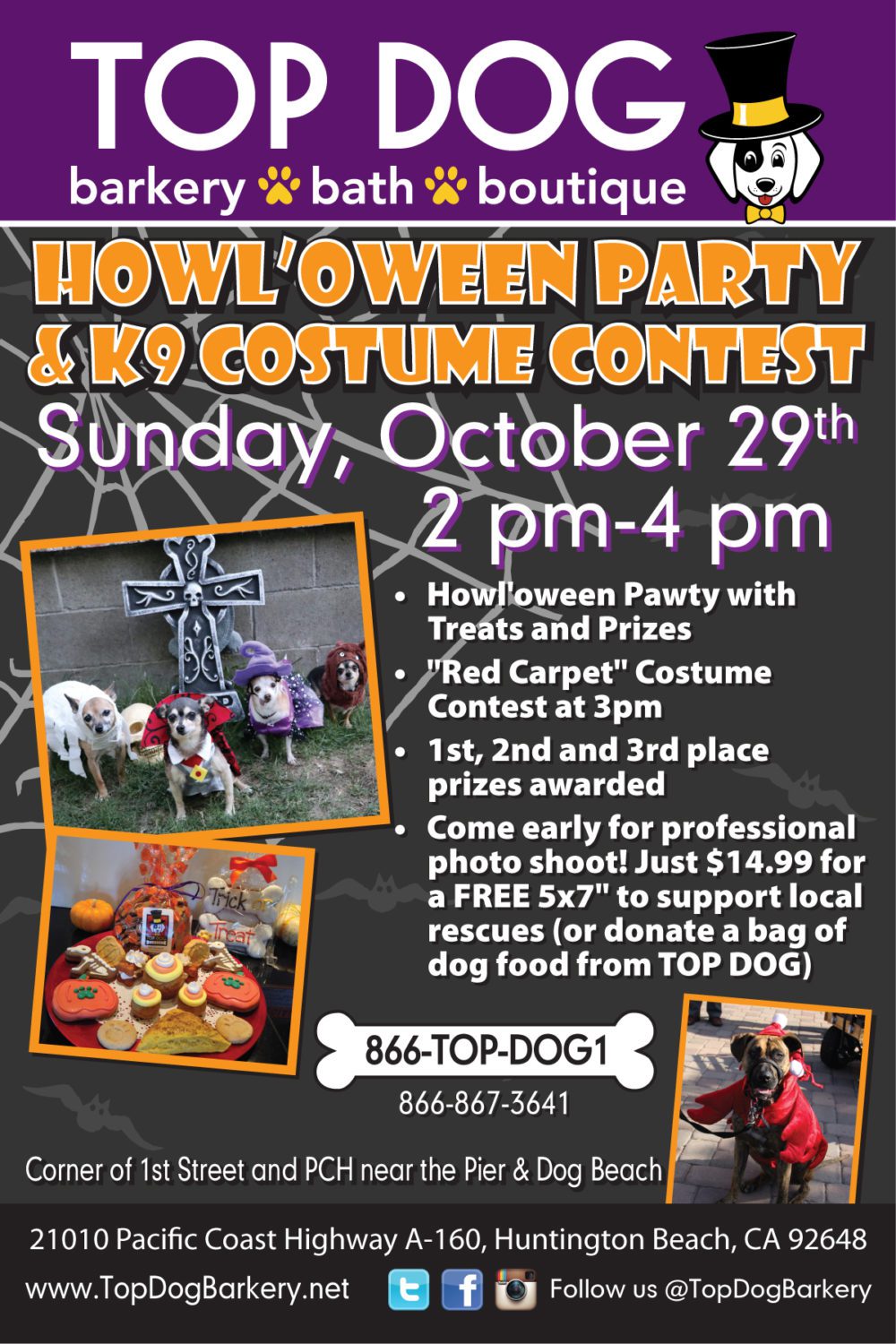 Halloween Mini Sessions, Dog Costume Contest