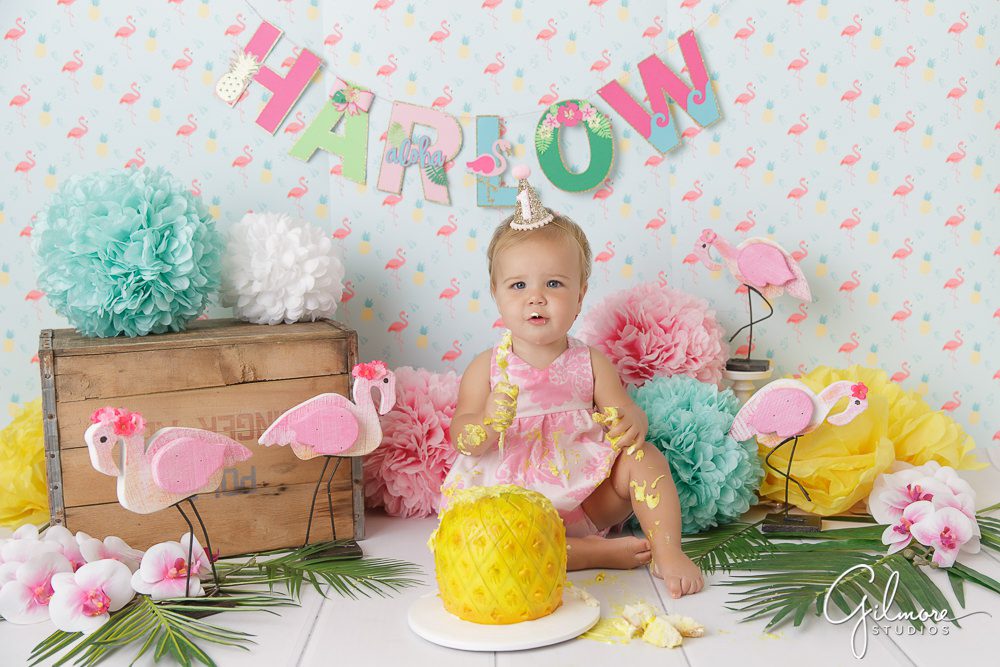 Flamingo Themed 1st Birthday Photography, Pineapple cake smash