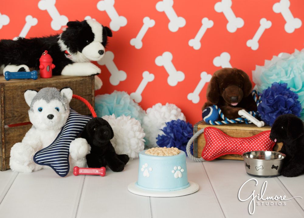 Puppy Theme 1st Birthday, French's Cupcake Bakery
