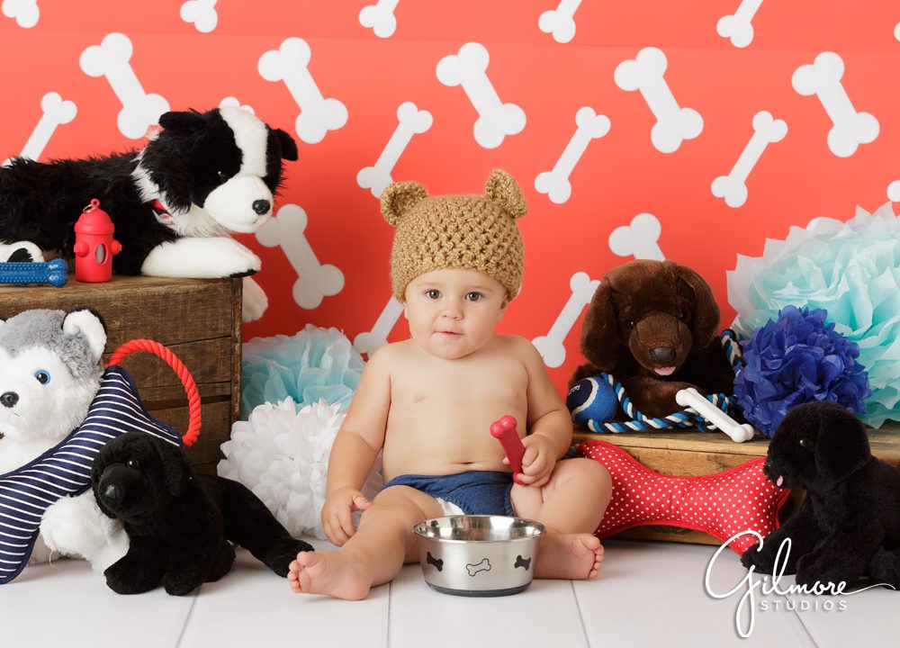 Puppy Theme 1st Birthday party, cake smash photography session