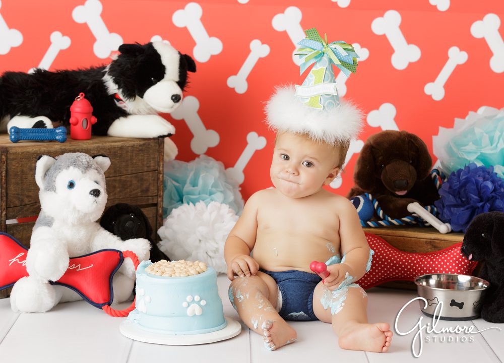 Puppy Theme 1st Birthday, dog toys, party, dog bowl, food dish