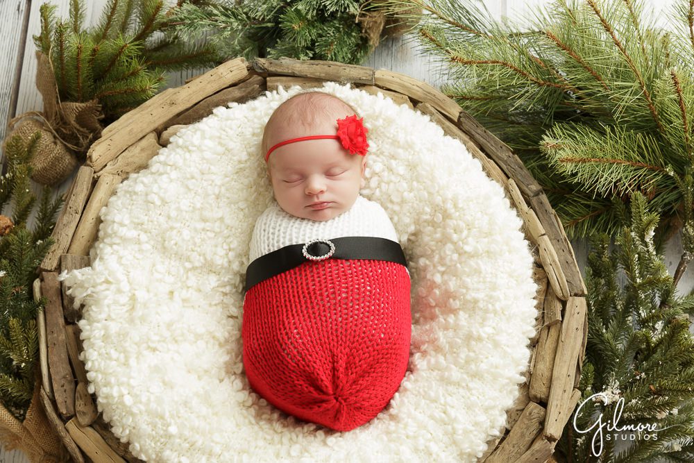 Holiday newborn baby portrait, red and white, driftwood baby bowl