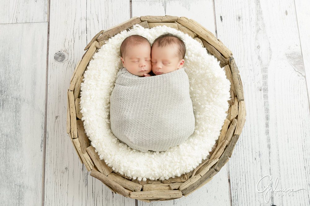 Newborn Twins Photographer, Orange County baby studio