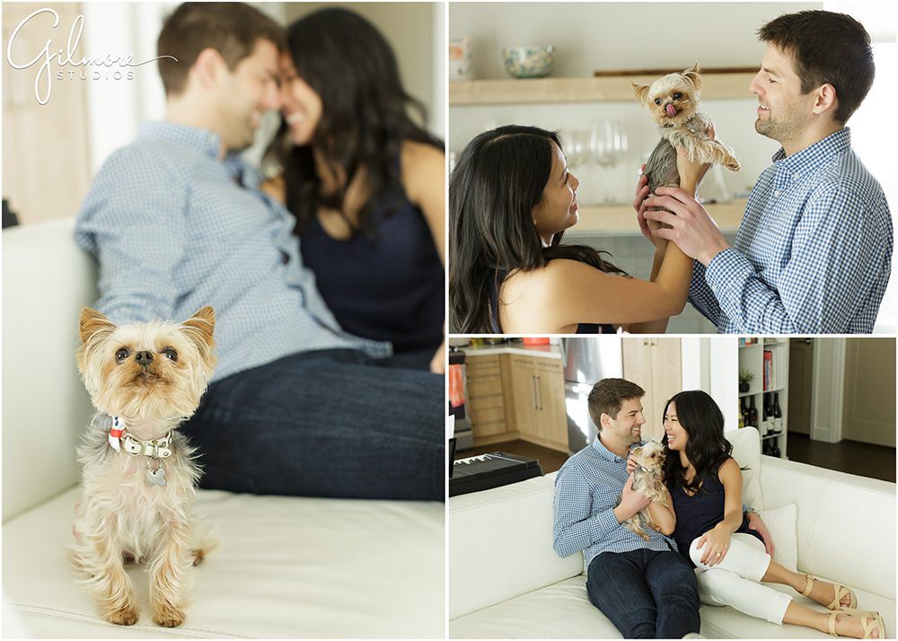 Engagement session, Yorkshire Terrier, Yorkie puppy, wedding photographer