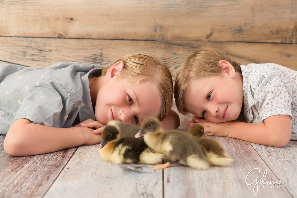 Orange County Mini Sessions, playing with baby ducklings at the studio