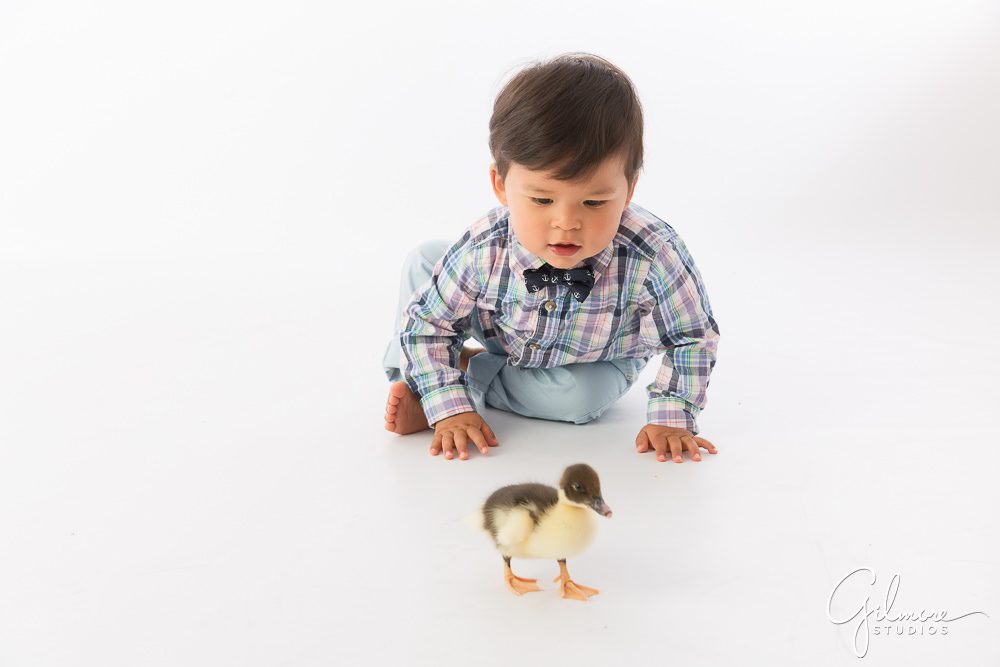Orange County Mini Sessions, toddler session, ducklings