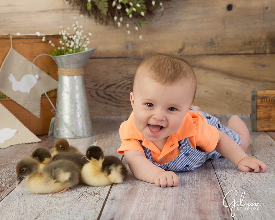 Orange County Mini Sessions, country ducklings