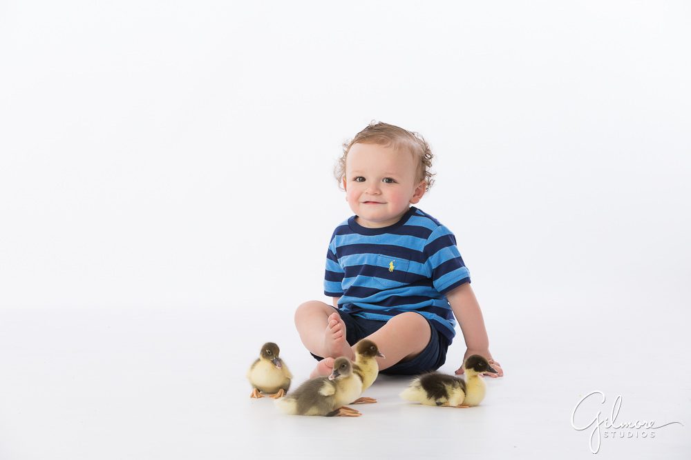 Orange County Mini Sessions, baby ducklings