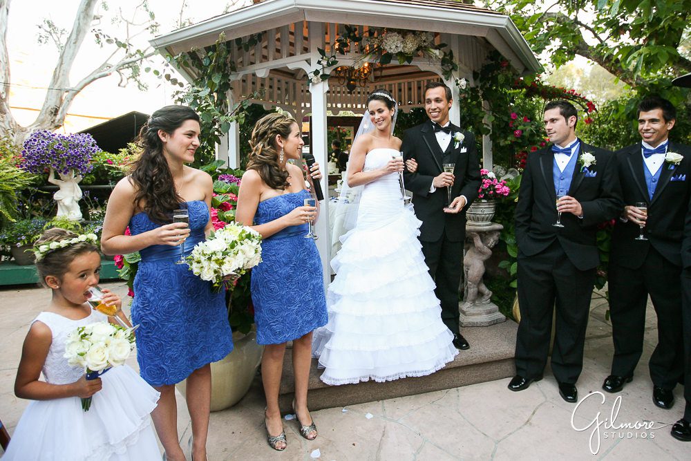 Tivoli Terrace Wedding, toasting the guests, blue bridesmaid dresses, Laguna Beach venue
