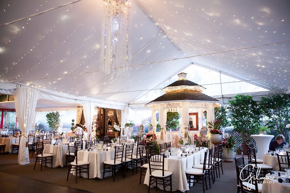 Tivoli Terrace Wedding, reception photographer