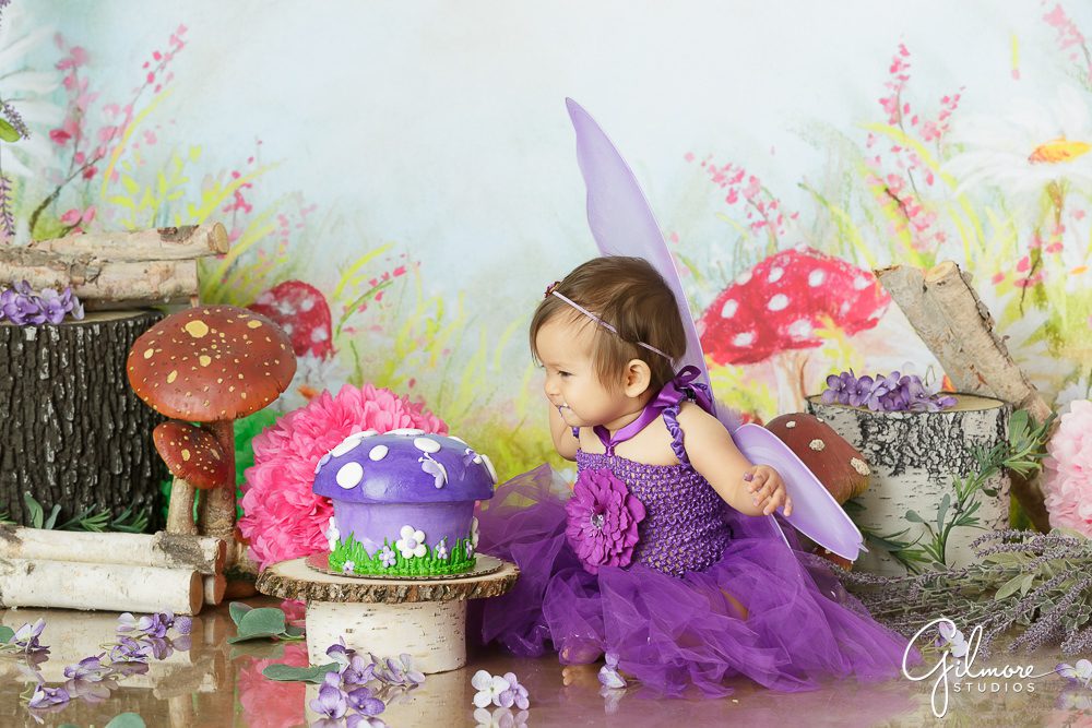garden fairy 1st birthday, wings, birthday fairies, garden fairy, portrait session, french's cupcake bakery custom made smash cakes in Costa Mesa