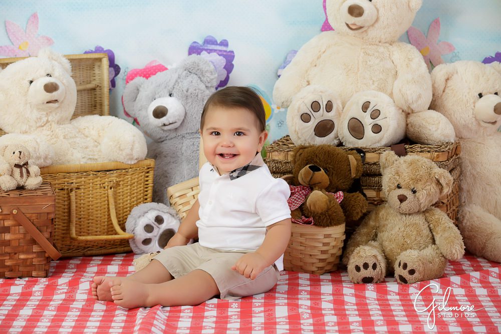 Teddy Bear Picnic, cake smash, ideas, inspiration, baby, smiling, portrait outfit, 1st birthday session, first bday, props, baskets