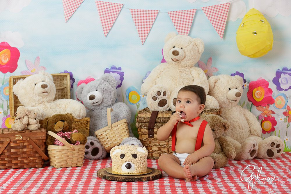 Teddy Bear Picnic, baby cake smash session, portrait shoot, flowers, baskets, outfit, red suspenders, bowtie, props, ideas, inspiration