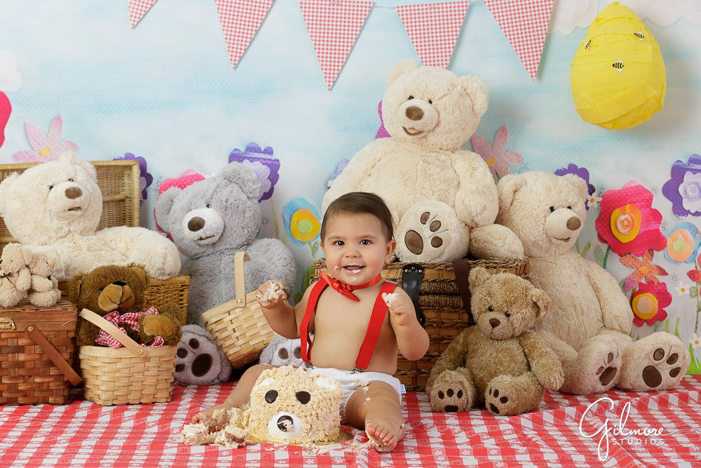 Teddy Bear Picnic, props, bees, flowers, suspenders, outfit, baby cake smash, portrait session, baskets, suspenders, bow tie, ideas, inspiration