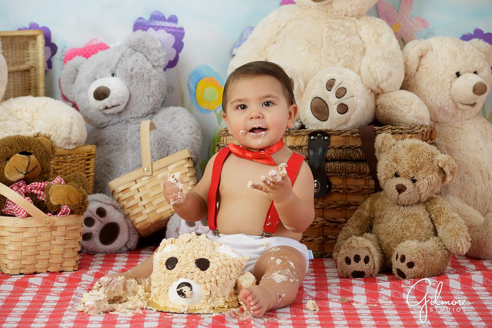Teddy Bear Picnic, baby first birthday, 1st bday cake smash, portrait session, ideas, inspiration