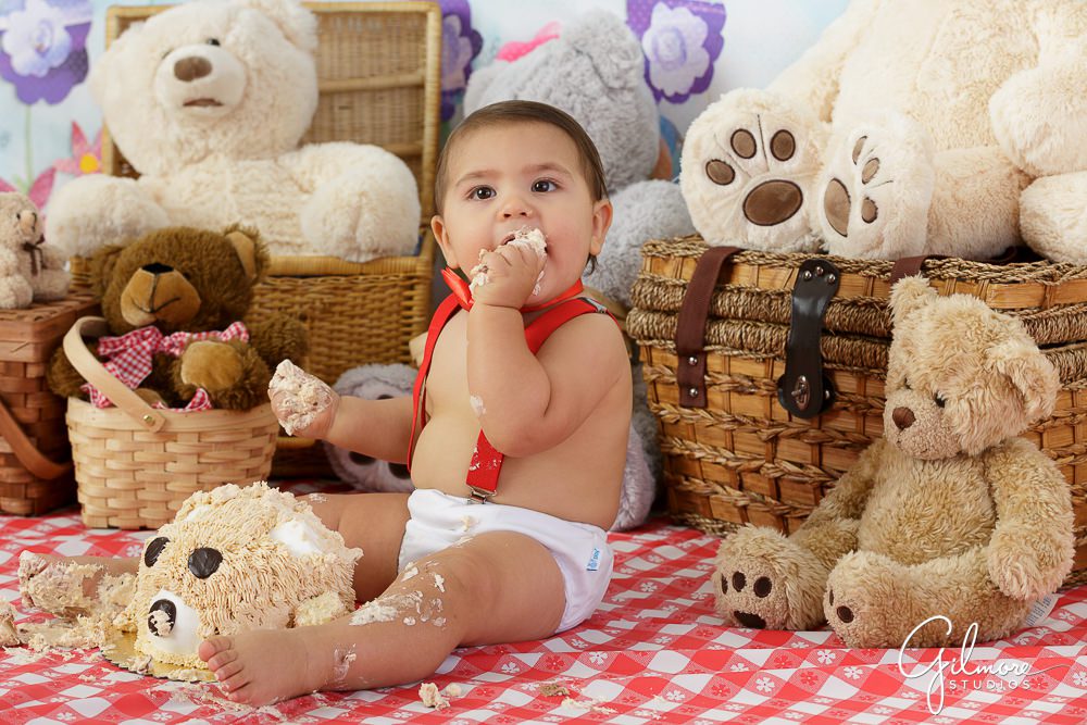 Teddy Bear Picnic, eating, baby, suspenders, bow tie, cake smash, 1st birthday portrait session, first bday, ideas, inspiration