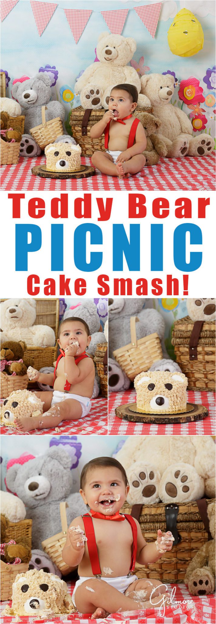 Teddy Bear Picnic Cake Smash - 1st Birthday Photography