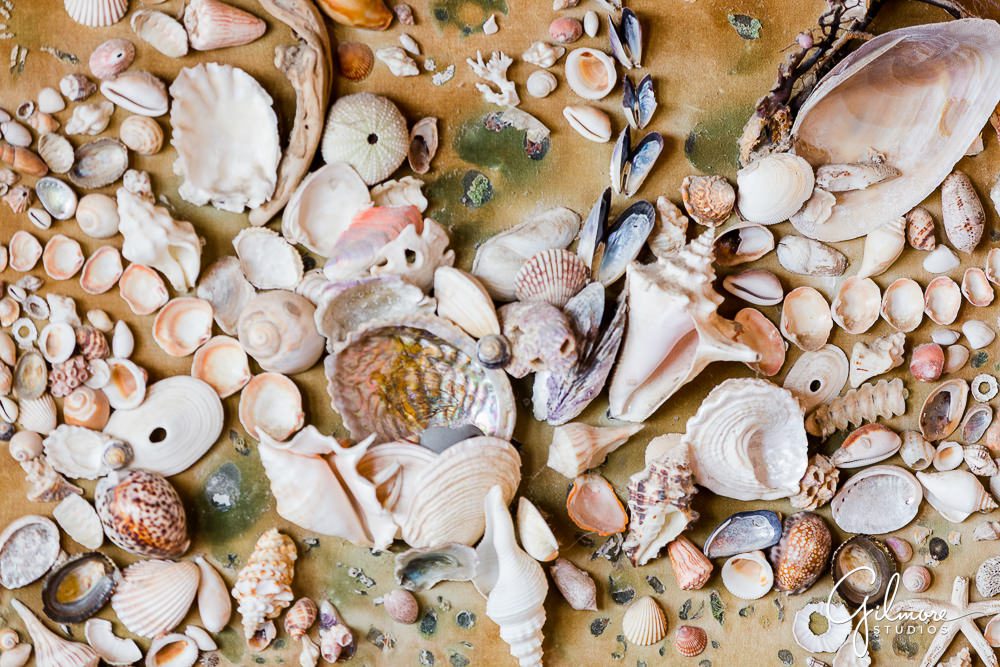 sea shells, Crystal Cove Cottages Wedding Photography