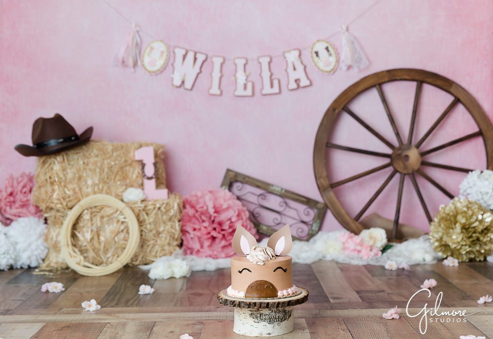 Cowgirl 1st Birthday, background, set, backdrop for girls, one year old, first birthday, country western props for kids