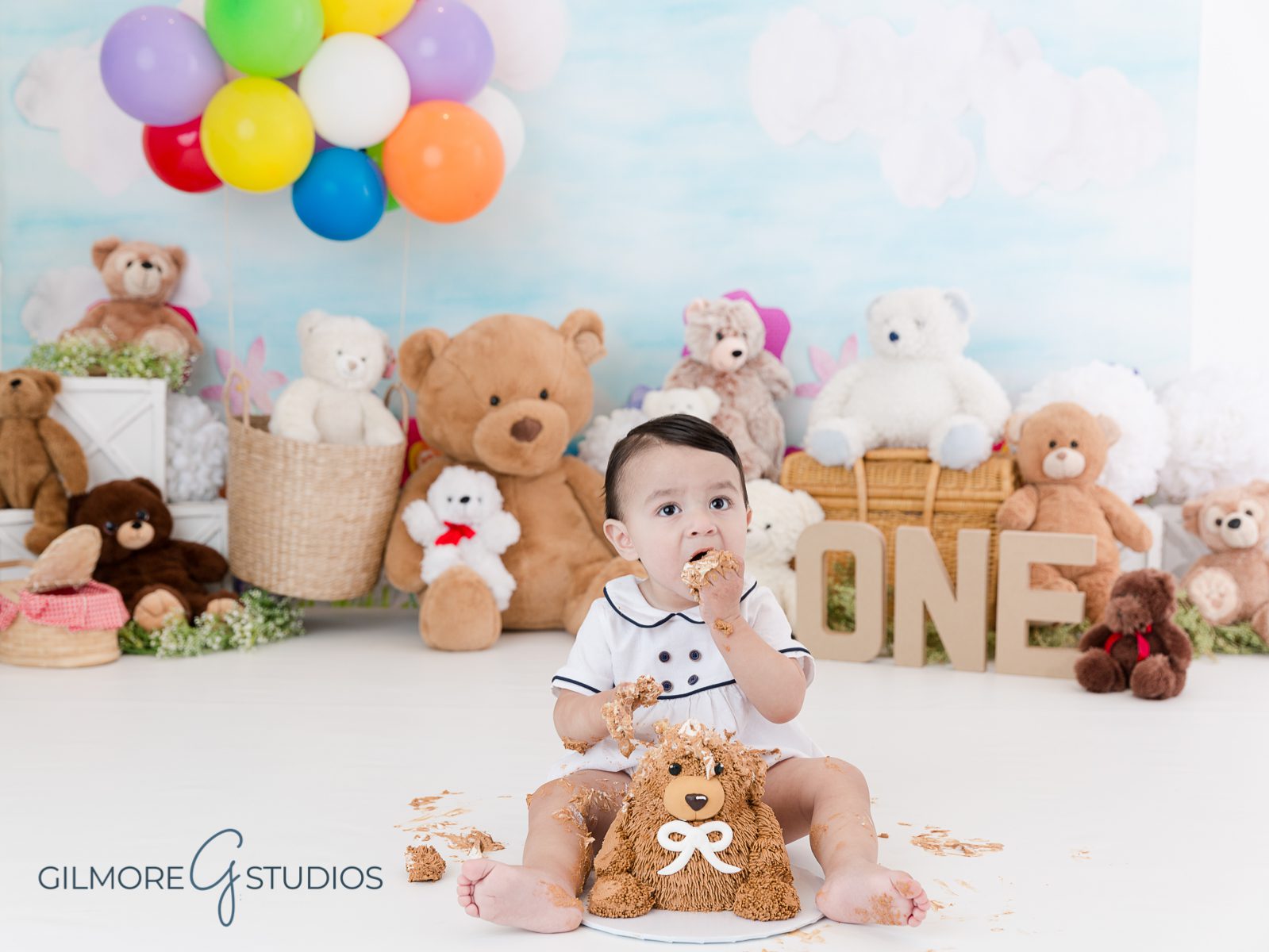 Teddy Bear Cake Smash, stuffed bears, photo, photographer, photography, children, one year old, birthday boy