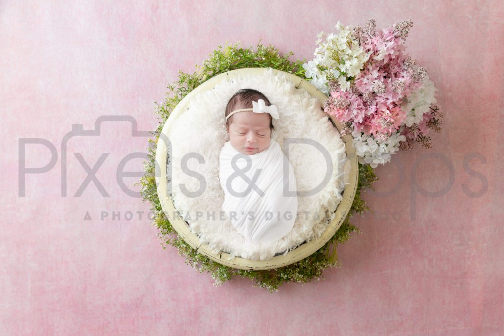 Newborn digital backdrops by Pixels and Drops, pink, floral, spring, easter, bowl, prop, bouquet, baby girl