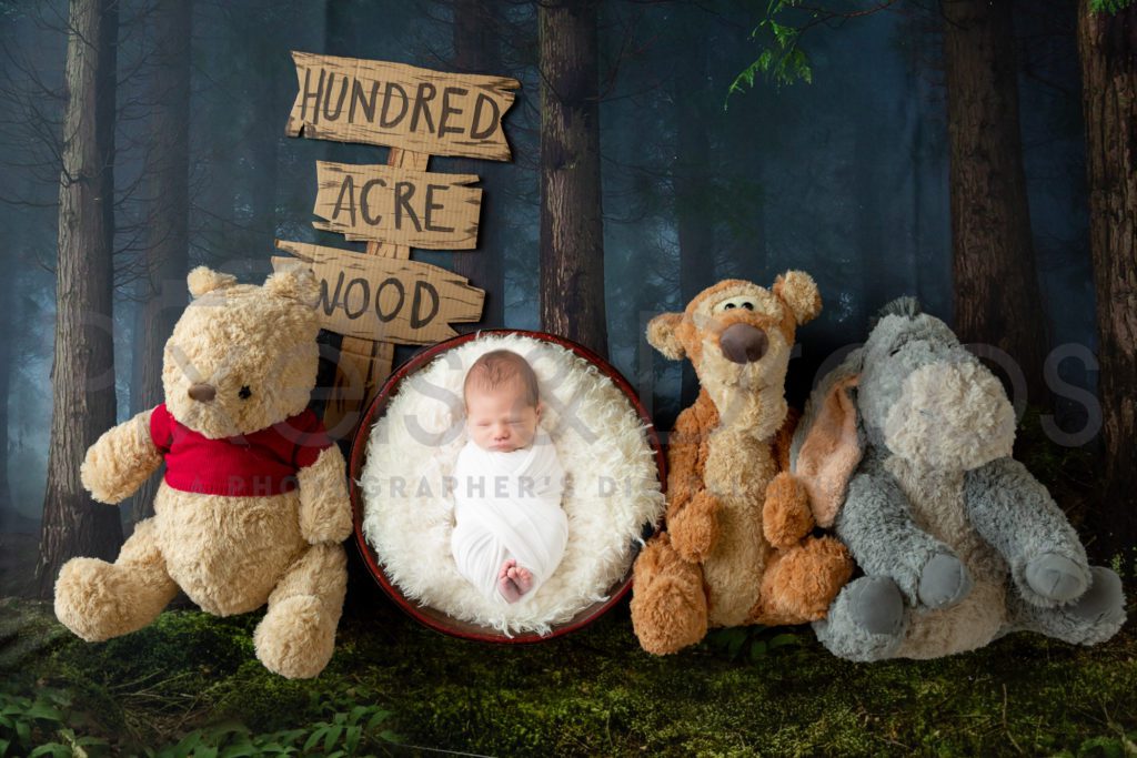 Newborn Digital Backdrops styled by Pixels and Drops with Winnie the Pooh Tigger Eyore at the hundred acre wood forest with faux fur in a red bowl