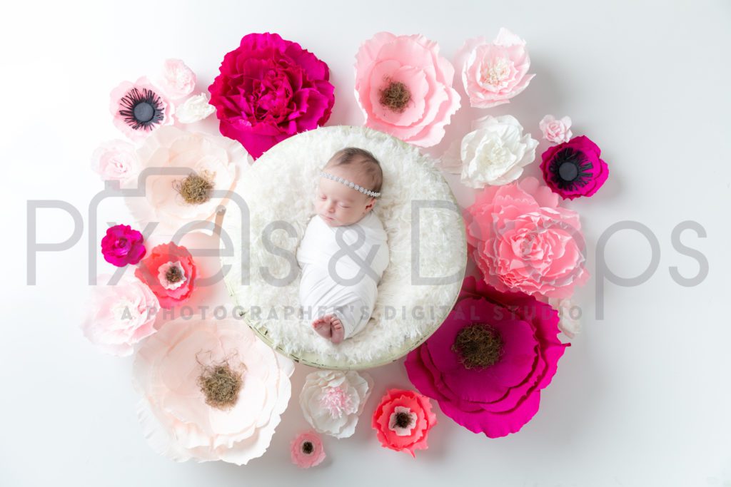 Newborn Digital Backdrops styled by Pixels and Drops with white background and paper mache floral flowers with white faux fur