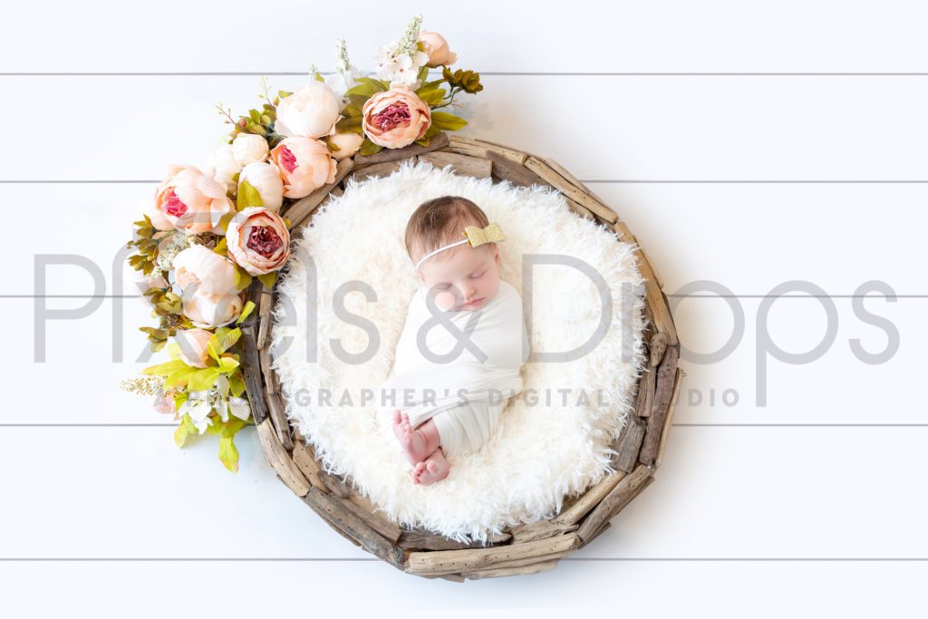 Newborn Digital Backdrops styled by Pixels and Drops with pink peonies greenery on white planked flooring with beach wood, driftwood bowl, floral, flowers, and white fake fur stuffer