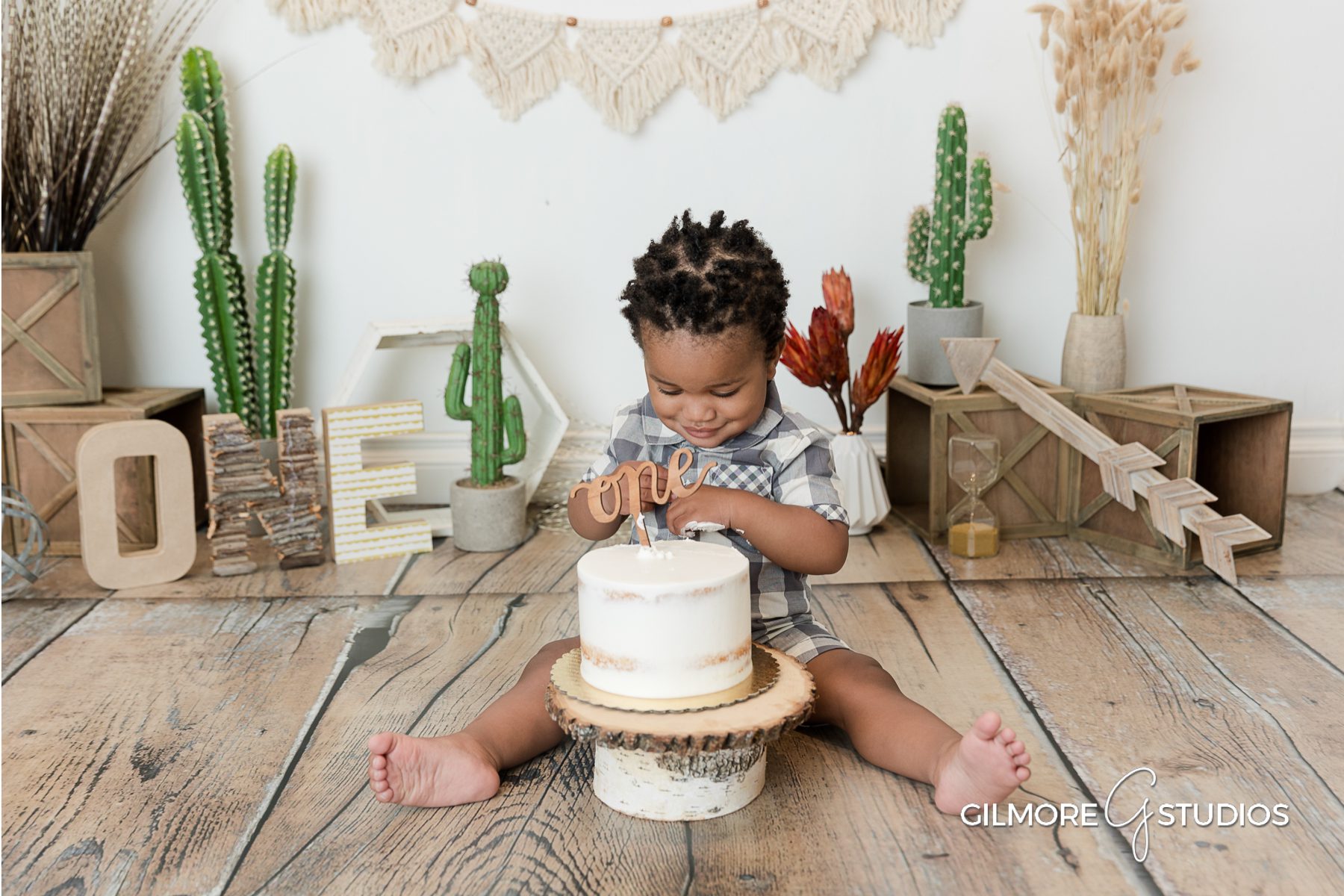 Desert Boho Cactus Cake Smash - First Birthday - Gilmore Studios ...