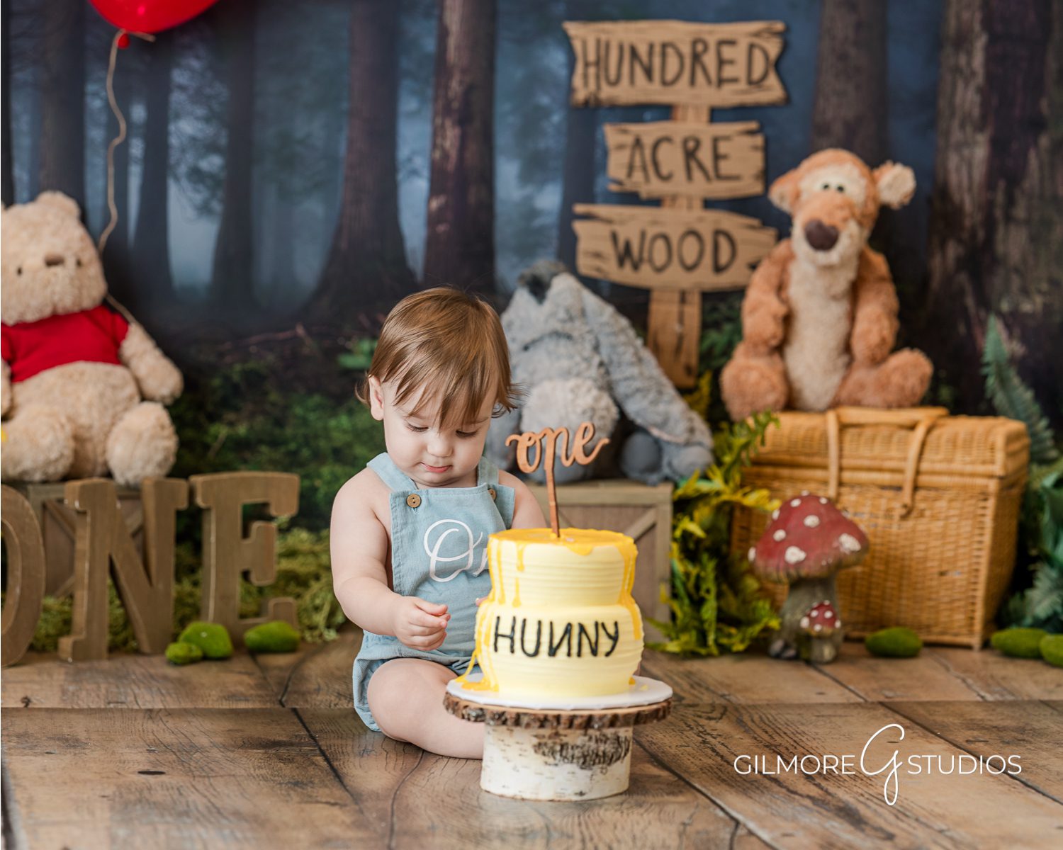 winnie the pooh cake smash, winnie the pooh theme, hundred acre wood, pooh bear, tigger, piglet, honey, hunny, custom cake, one year old, first birthday, christopher robin, when we were very young, e. h. shepard, the house at pooh corner, photographer, photo, photography set design, red balloon, birthday party