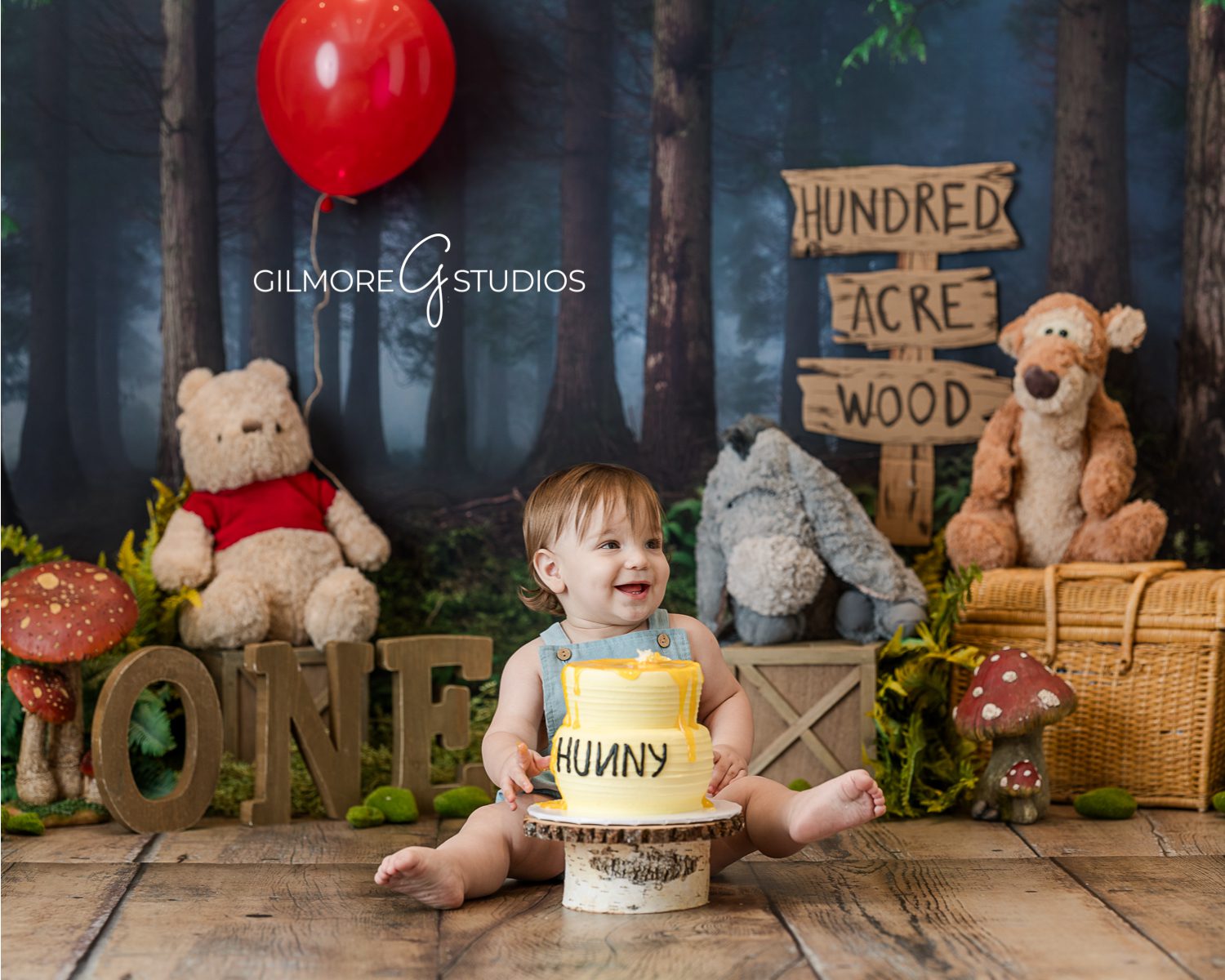 winnie the pooh cake smash, winnie the pooh theme, hundred acre wood, pooh bear, tigger, piglet, honey, hunny, custom cake, one year old, first birthday, christopher robin, when we were very young, e. h. shepard, the house at pooh corner, photographer, photo, photography set design, red balloon, birthday party