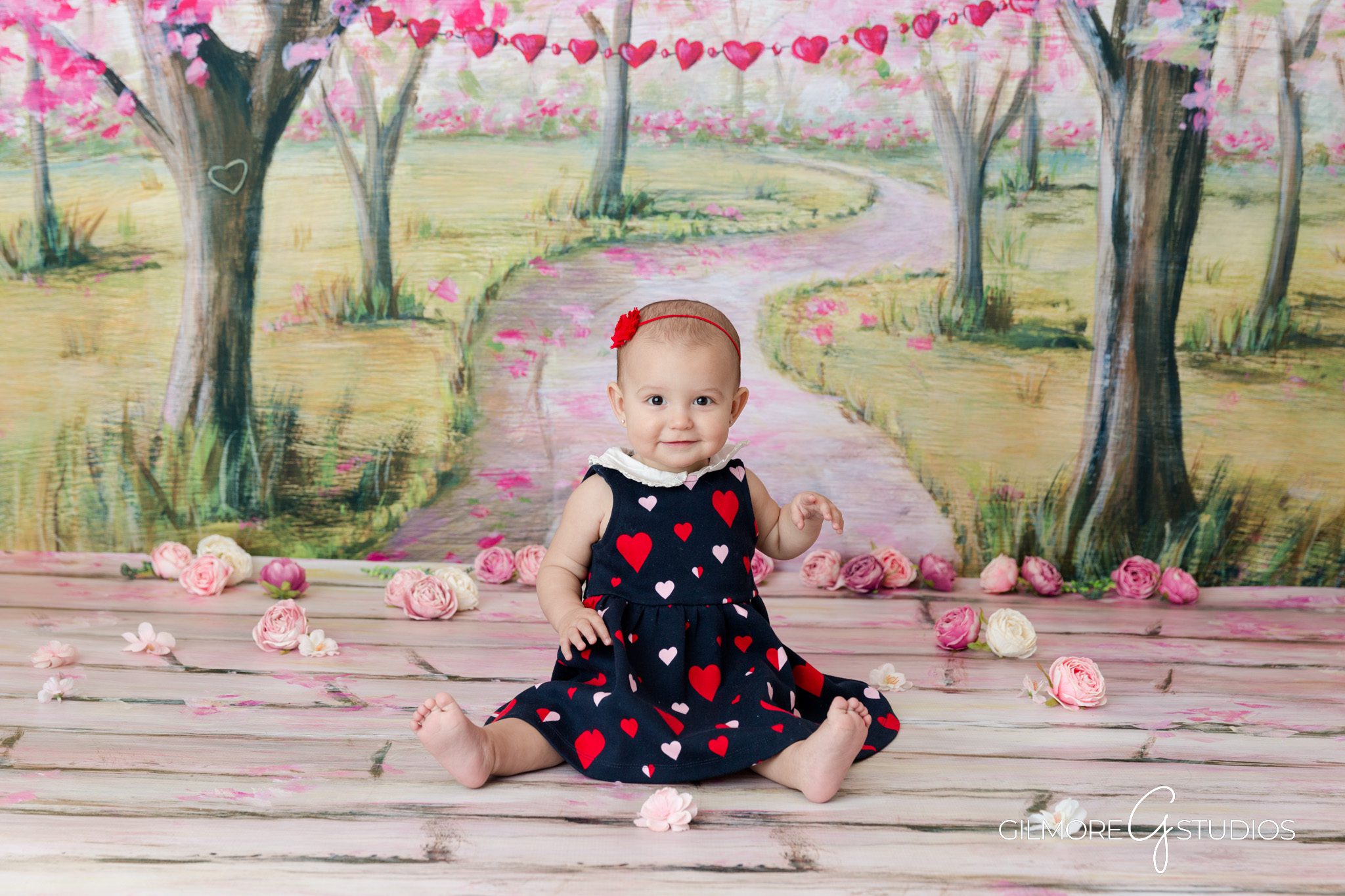 Six Month Baby Portrait – Valentine Theme – Red and Pink Setup