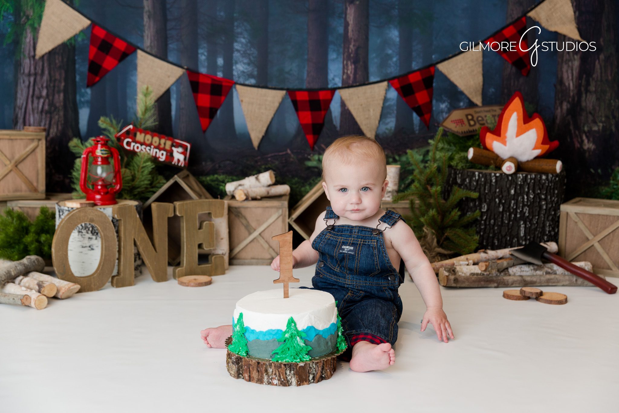 Cake smash session, custom cake, cozy log decor